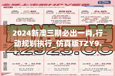 2024新澳三期必出一肖,行动规划执行_仿真版TZY9.2