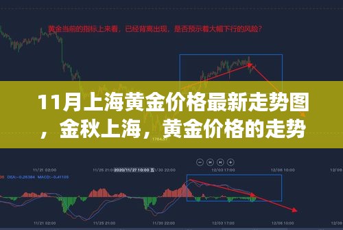 金秋上海黄金价格走势揭秘，最新动态与背后故事