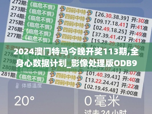 2024澳门特马今晚开奖113期,全身心数据计划_影像处理版ODB9.64