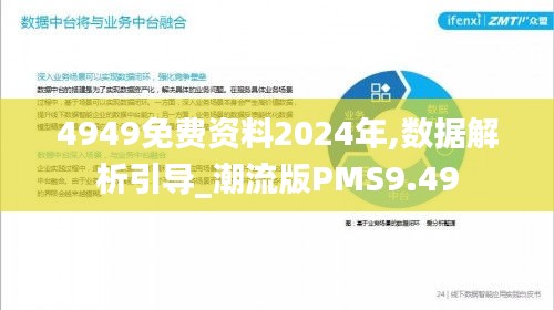 4949免费资料2024年,数据解析引导_潮流版PMS9.49