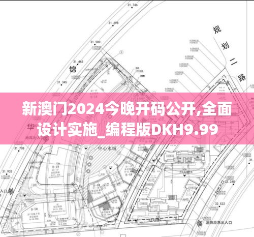 新澳门2024今晚开码公开,全面设计实施_编程版DKH9.99