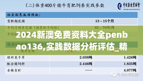 2024新澳免费资料大全penbao136,实践数据分析评估_精英版BGT9.10