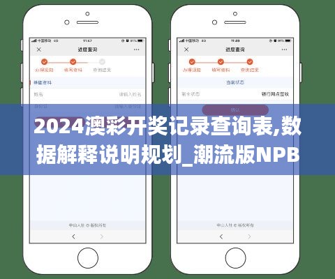 2024澳彩开奖记录查询表,数据解释说明规划_潮流版NPB9.3