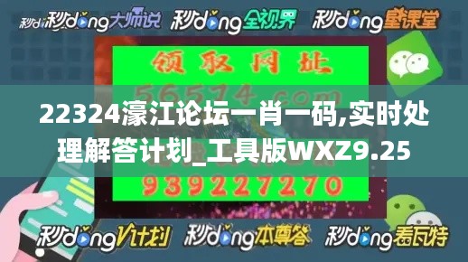 22324濠江论坛一肖一码,实时处理解答计划_工具版WXZ9.25