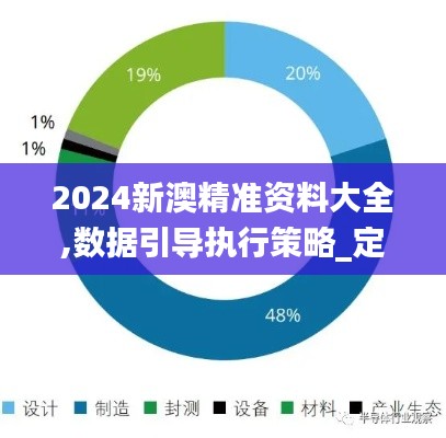 2024新澳精准资料大全,数据引导执行策略_定向版BCS9.93