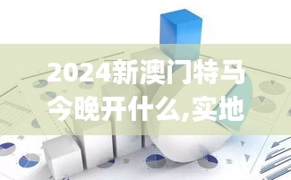 2024新澳门特马今晚开什么,实地数据验证_抓拍版TEG9.98