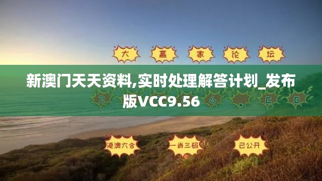 新澳门天天资料,实时处理解答计划_发布版VCC9.56