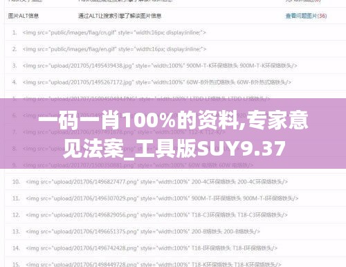 一码一肖100%的资料,专家意见法案_工具版SUY9.37