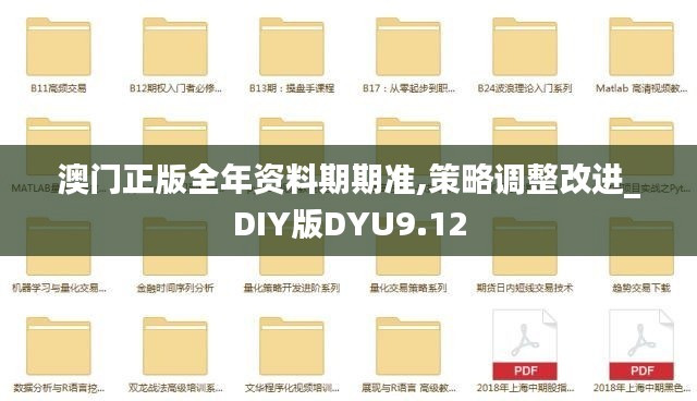 澳门正版全年资料期期准,策略调整改进_DIY版DYU9.12