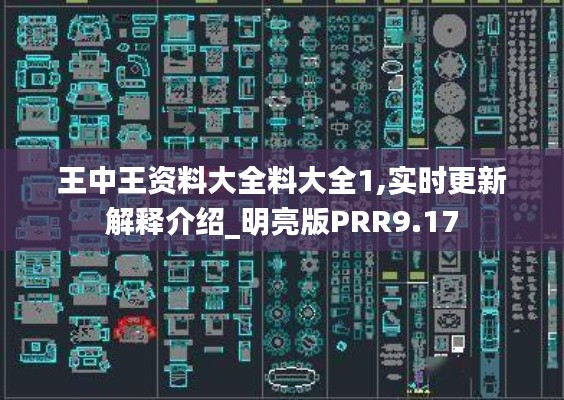 王中王资料大全料大全1,实时更新解释介绍_明亮版PRR9.17