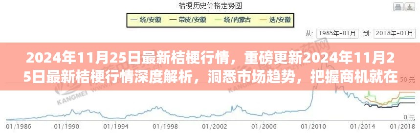 2024年11月25日桔梗行情深度解析，市场趋势与商机洞察