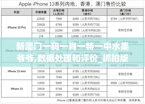 新澳门一码一肖一特一中水果爷爷,数据处理和评价_抓拍版CLM9.32