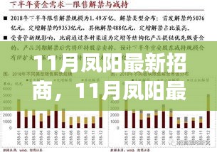 11月凤阳最新招商策略探析，利弊分析与前景展望