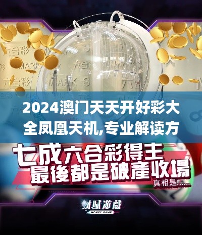 2024澳门天天开好彩大全凤凰天机,专业解读方案实施_云技术版TDC9.65