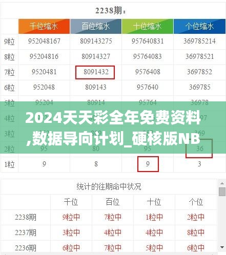 2024天天彩全年免费资料,数据导向计划_硬核版NBZ9.24