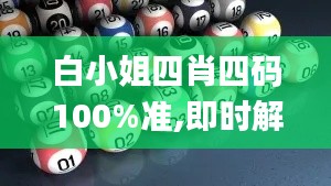 白小姐四肖四码100%准,即时解答解析分析_计算能力版REH9.26