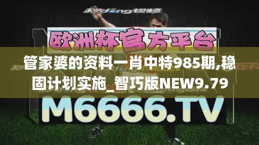 管家婆的资料一肖中特985期,稳固计划实施_智巧版NEW9.79