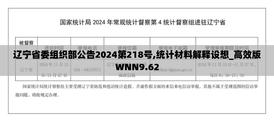 辽宁省委组织部公告2024第218号,统计材料解释设想_高效版WNN9.62