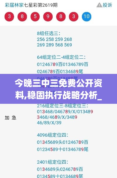 今晚三中三免费公开资料,稳固执行战略分析_别致版KYC9.88