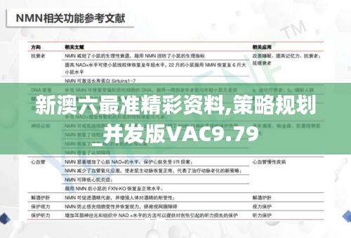 新澳六最准精彩资料,策略规划_并发版VAC9.79