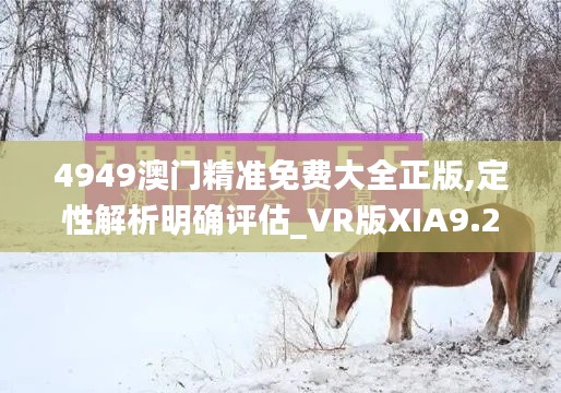 4949澳门精准免费大全正版,定性解析明确评估_VR版XIA9.20