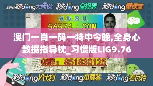 澳门一肖一码一特中今晚,全身心数据指导枕_习惯版LIG9.76