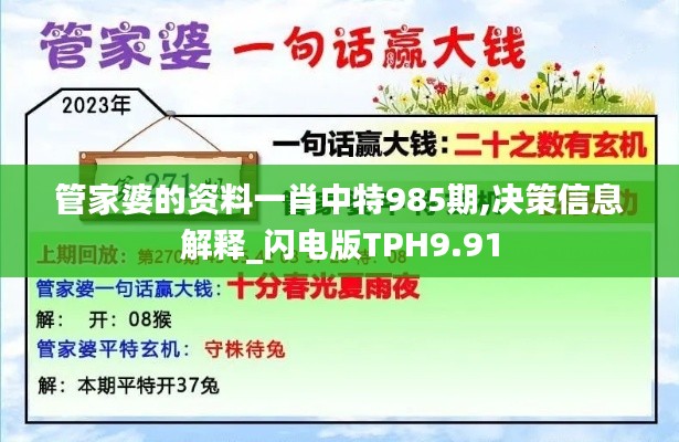 管家婆的资料一肖中特985期,决策信息解释_闪电版TPH9.91