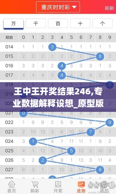 王中王开奖结果246,专业数据解释设想_原型版JRP9.72