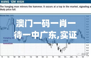 澳门一码一肖一待一中广东,实证分析详细枕_L版XMY9.20