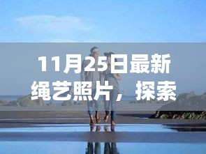 2024年11月 第390页