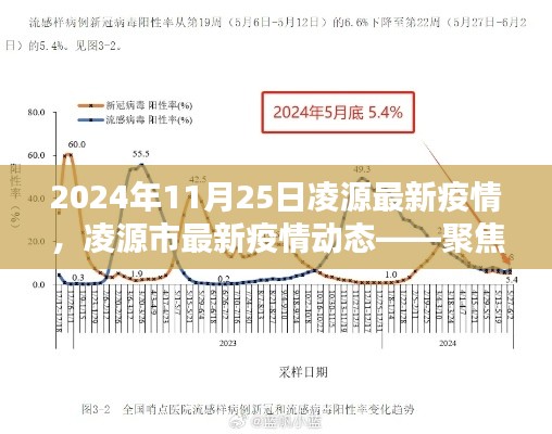 凌源市最新疫情动态分析报告（截至日期，2024年11月25日）