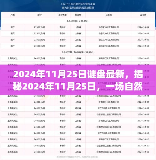 揭秘自然美景之旅，探寻心灵平和与宁静的探秘之旅（2024年11月25日最新）