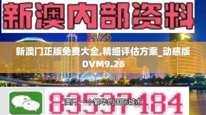 新澳门正版免费大全,精细评估方案_动感版DVM9.28