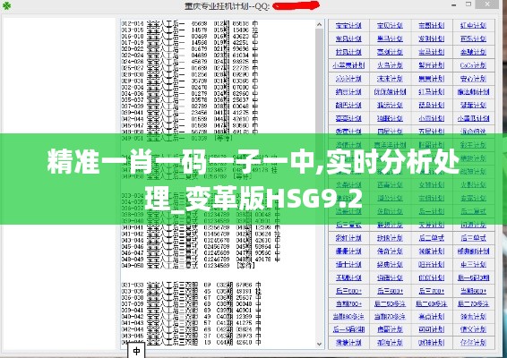 精准一肖一码一子一中,实时分析处理_变革版HSG9.2