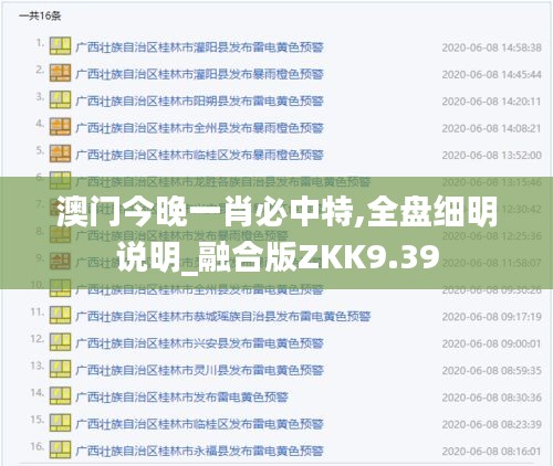 澳门今晚一肖必中特,全盘细明说明_融合版ZKK9.39