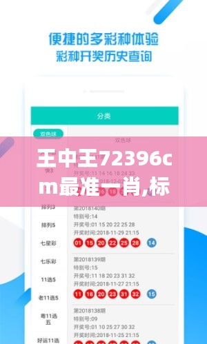 王中王72396cm最准一肖,标准执行具体评价_高清晰度版WCD9.86