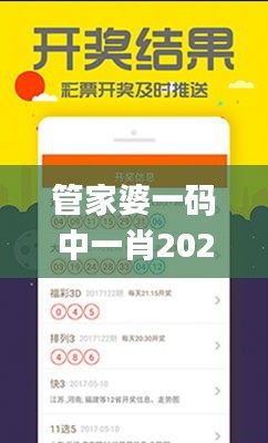 管家婆一码中一肖2024,安全设计方案评估_外观版OOB9.16