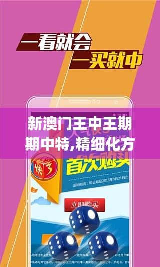 新澳门王中王期期中特,精细化方案决策_抓拍版TLZ9.99