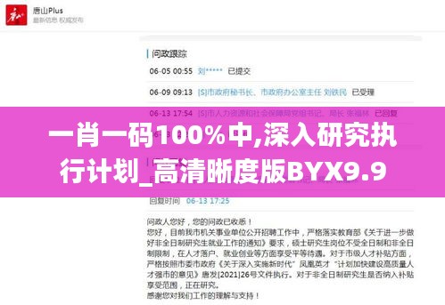 一肖一码100%中,深入研究执行计划_高清晰度版BYX9.9