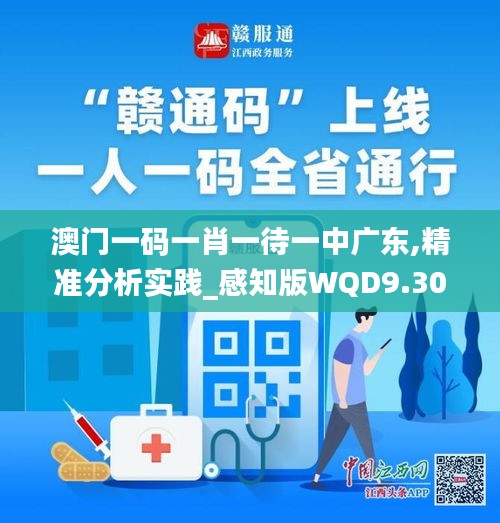 澳门一码一肖一待一中广东,精准分析实践_感知版WQD9.30