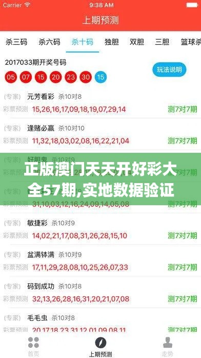 正版澳门天天开好彩大全57期,实地数据验证_经济版HDV9.91