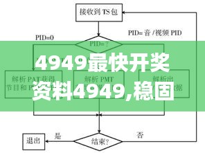 4949最快开奖资料4949,稳固执行方案计划_图形版KLY9.57