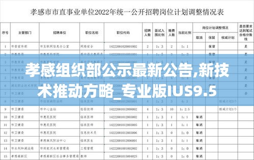 孝感组织部公示最新公告,新技术推动方略_专业版IUS9.5