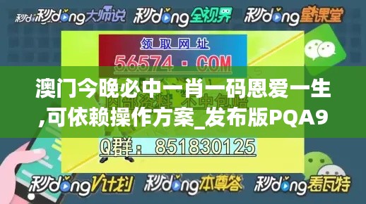 2024年11月 第375页