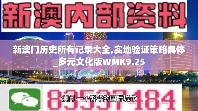 新澳门历史所有记录大全,实地验证策略具体_多元文化版WMK9.25