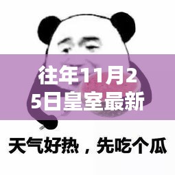 往年11月25日皇室表情揭秘，最新动态一网打尽