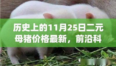 历史上的11月25日二元母猪价格背后的智能科技革新与体验革新