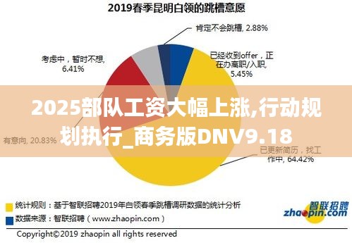 2025部队工资大幅上涨,行动规划执行_商务版DNV9.18