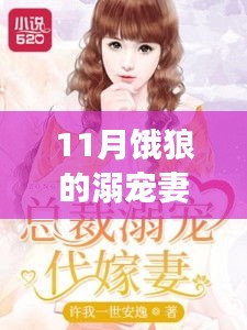 11月饿狼的溺宠妻，最新章节获取攻略与步骤指南