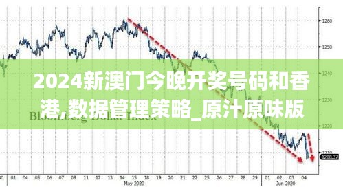 2024新澳门今晚开奖号码和香港,数据管理策略_原汁原味版WGK9.62